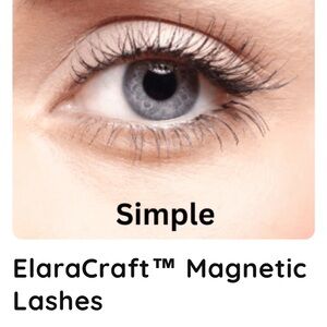 NWT Magnetic Lashes - Simple Black